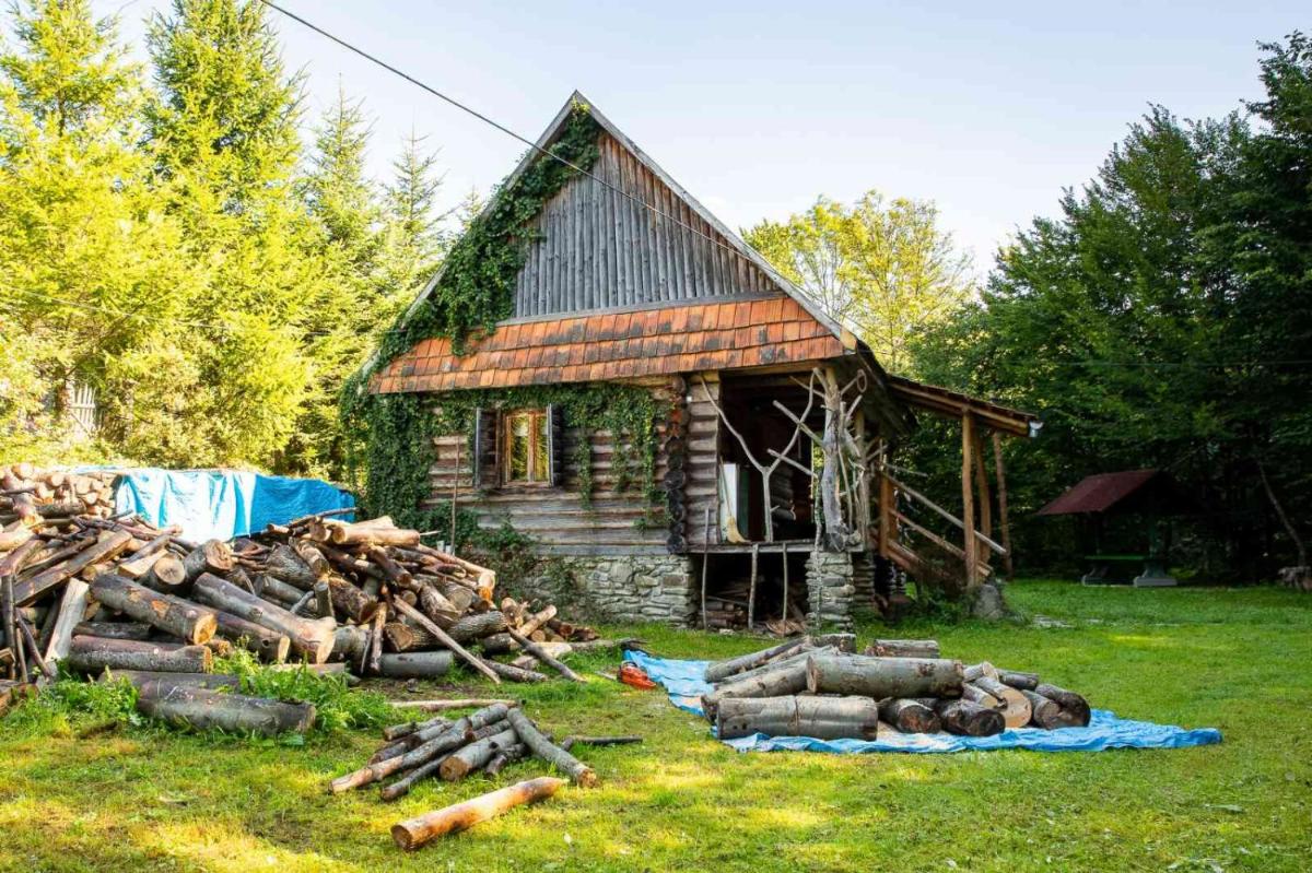 Image 5 of Хатина біля потока