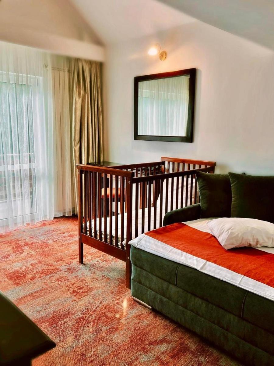 Image 5 of Hotel Piatra Mare