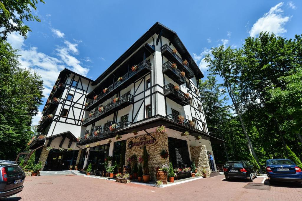 Image 1 of Hotel Posada Vidraru