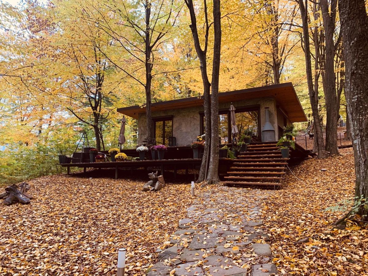 Image 2 of Luxury Lake House & Glamping