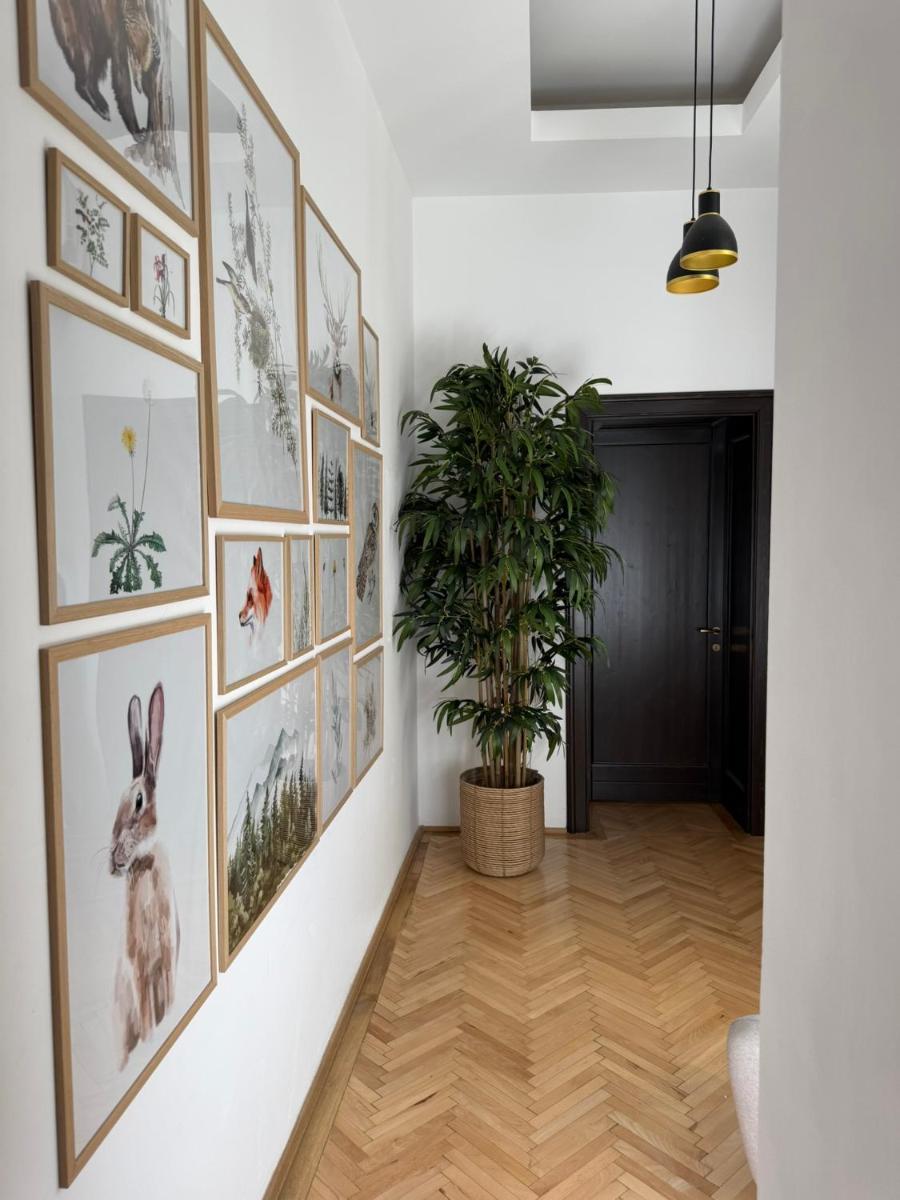 Image 4 of Nature-Inspired Stay in Piata Sfatului Brasov
