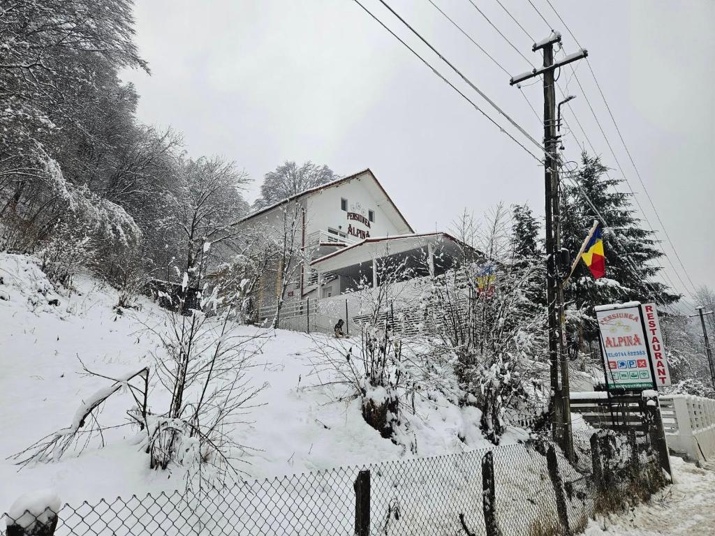 Image 1 of Pensiunea Alpina