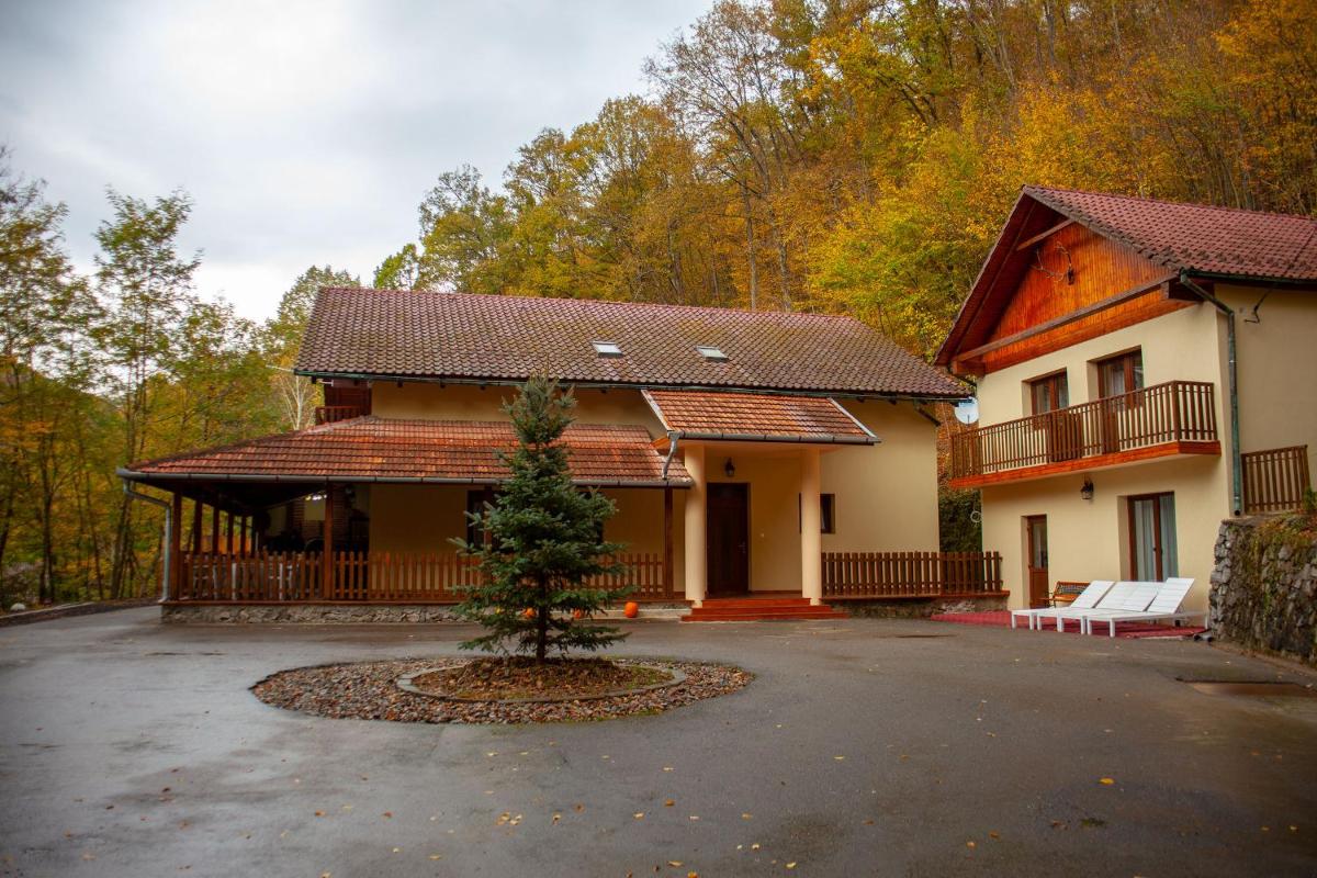 Image 2 of Pensiunea Valea Gepisului