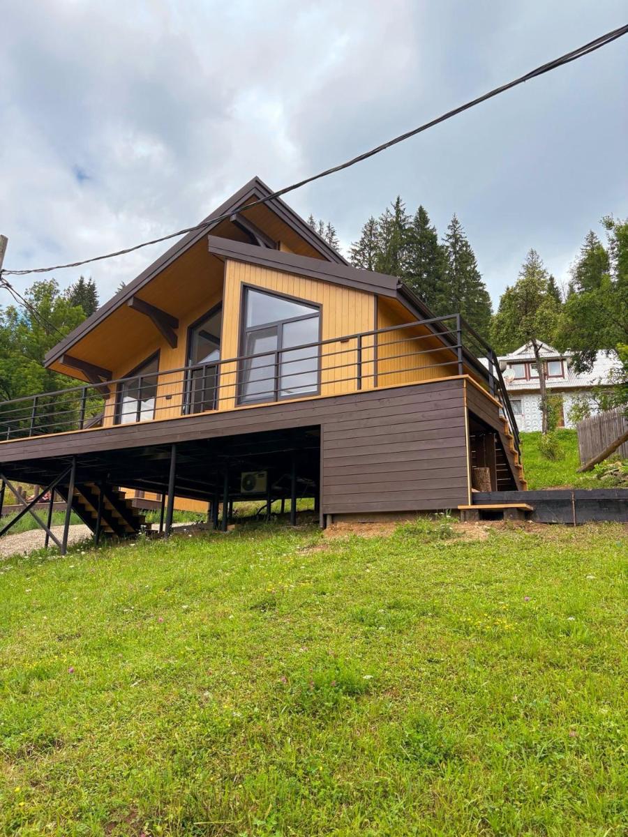Image 4 of Petrick House