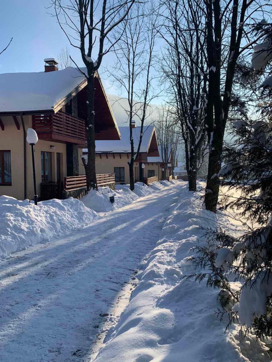 Image 4 of Полярис Polyaris
