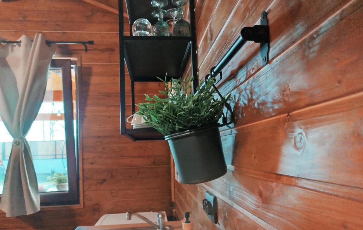 Image 3 of Popa Cabana