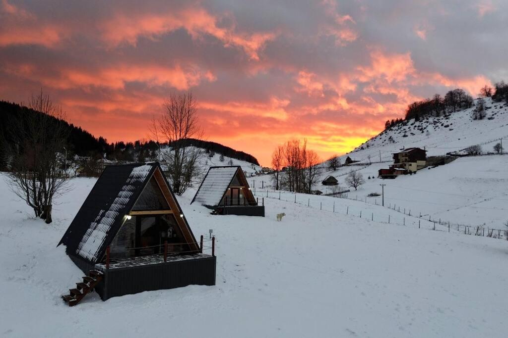 Image 1 of RoiA Chalet Fundata 1