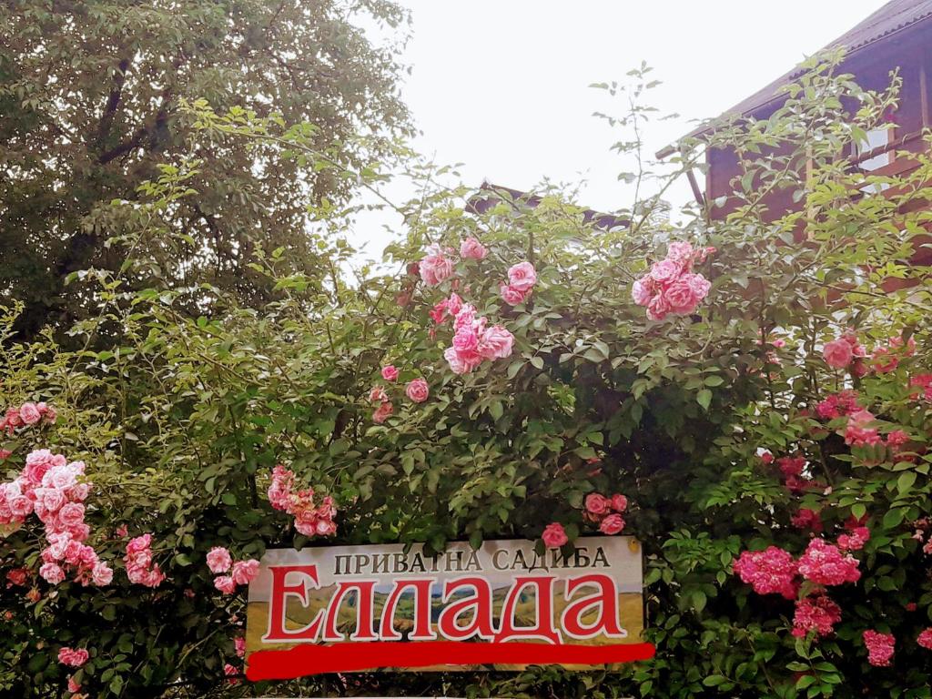 Image 1 of Sadyba Ellada