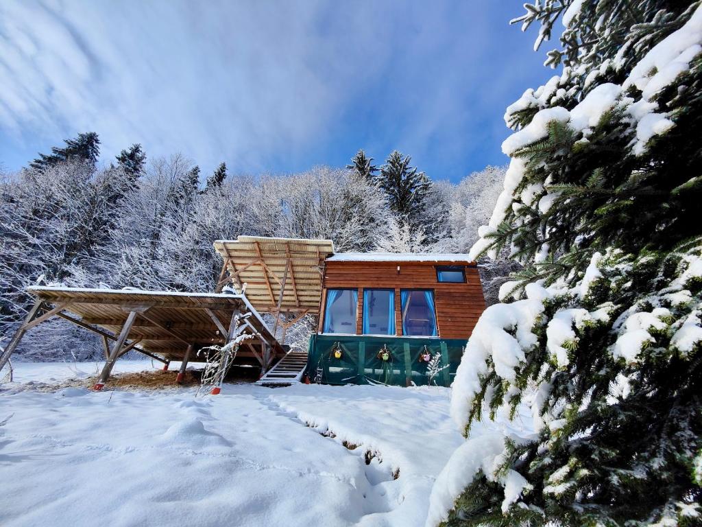 Image 1 of Tiny House Retreat Bran