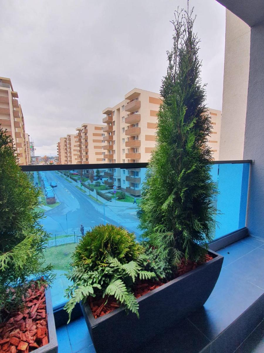 Image 5 of Tzuba Luxury Home Coresi Mall Brasov