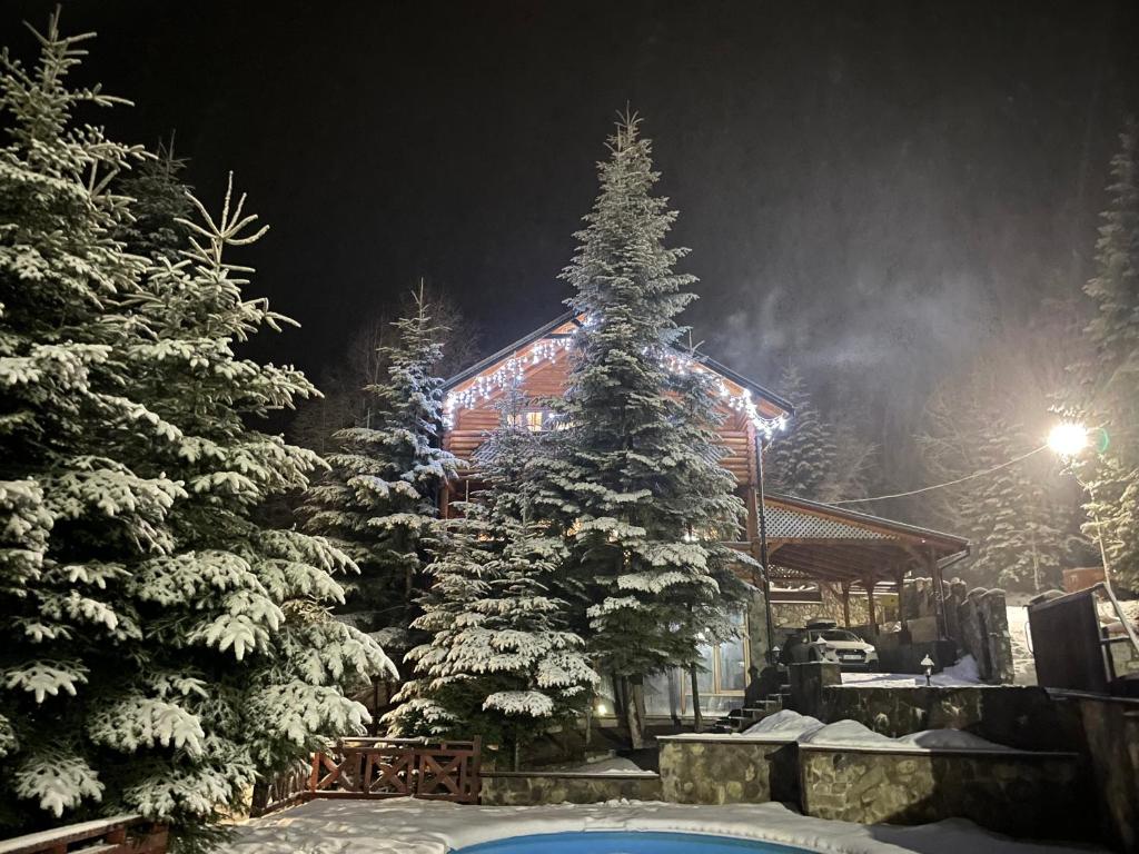 Image 1 of VIP HOUSES Карпати Мигово