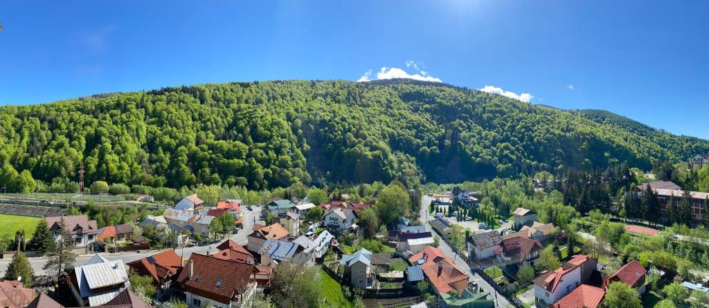 Image 1 of ViewApart Sinaia