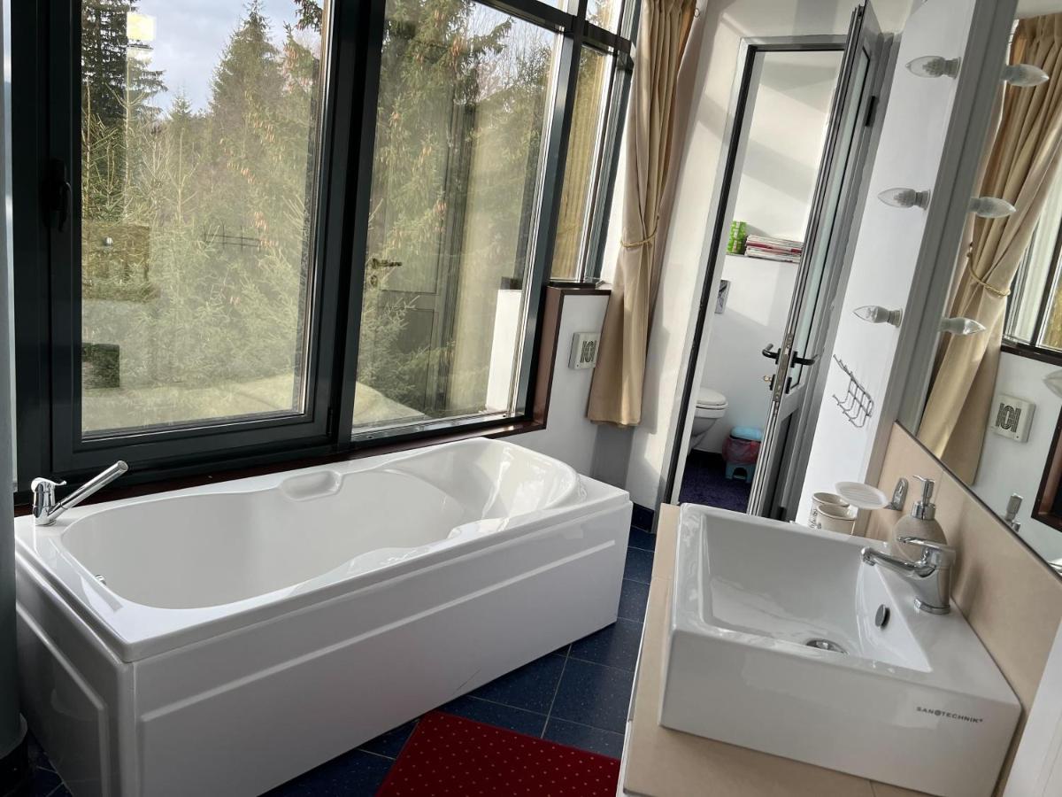 Image 3 of Vila Franceză – Cazare cu jacuzzi pe malul lacului Colibița