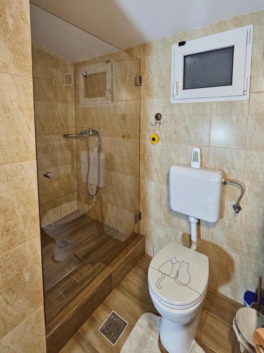 Image 4 of WHITE HOUSE, Vidraru 1