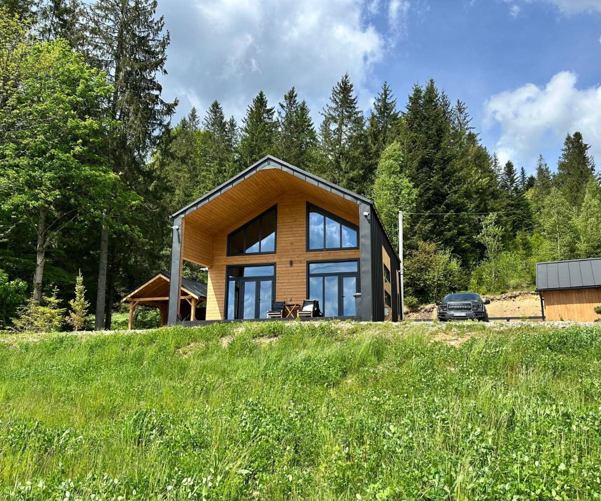 Image 3 of Zillya Club