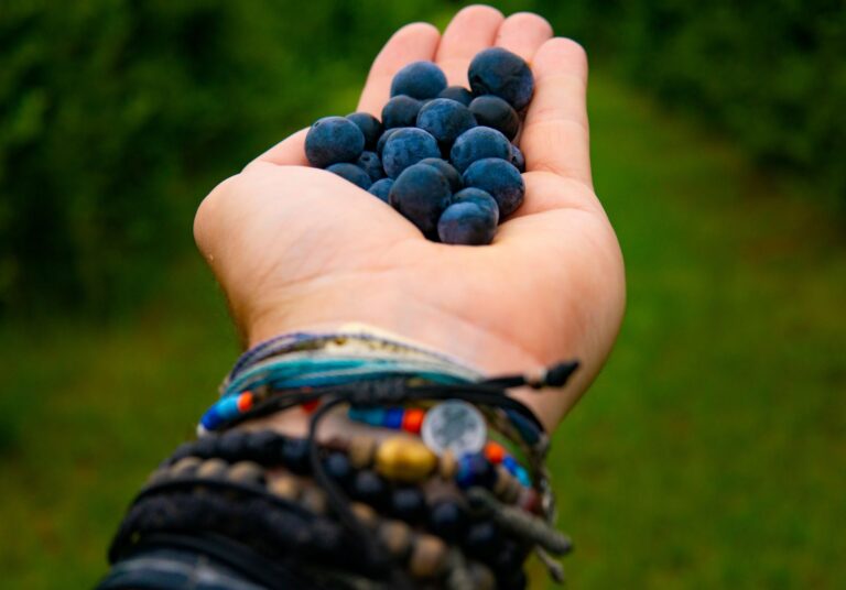 Farm-to-Table Healing The Nutritional Power of Carpathian Cuisine