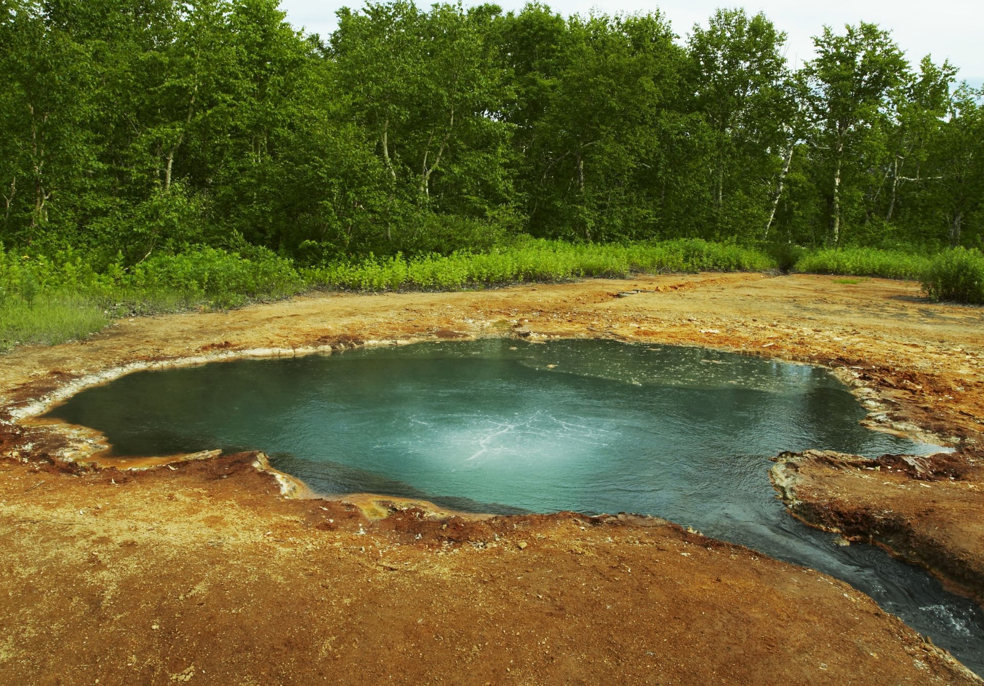 Living Water_ The Internal Reset