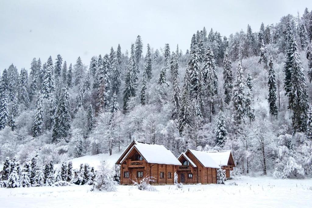 Mayak Chalet Resort Mykulychyn