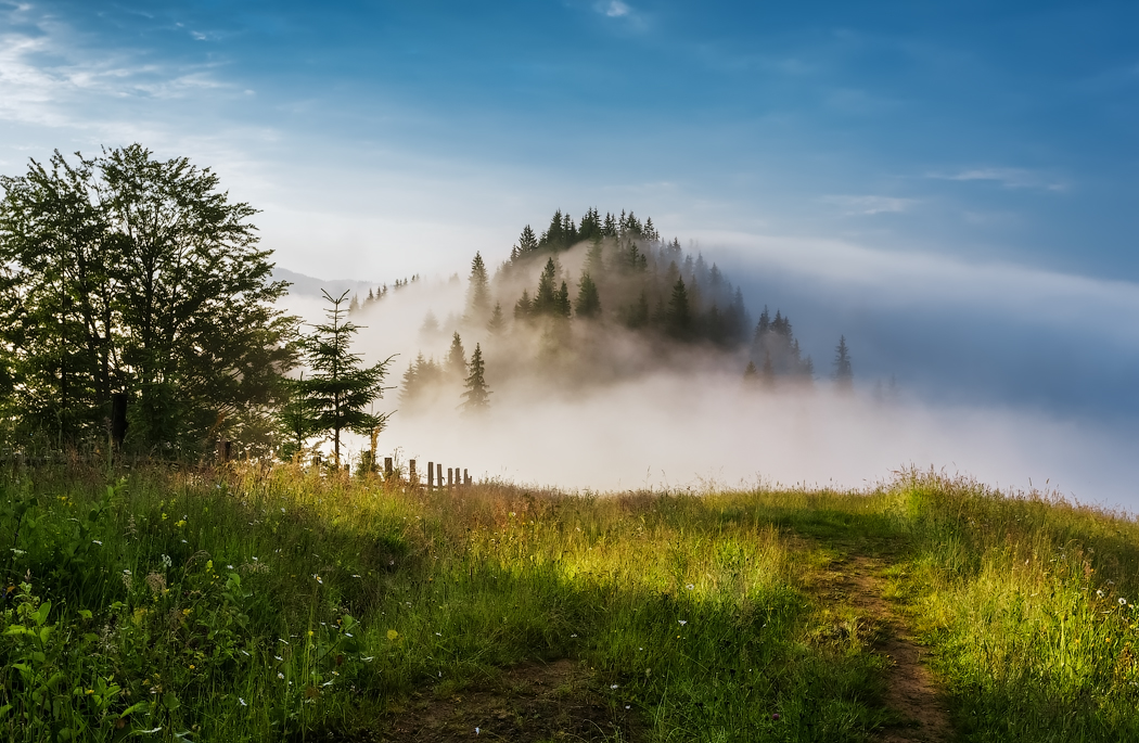 Ukraine